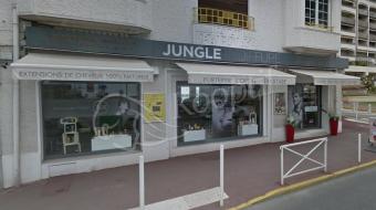 Photo du salon Jungle Store