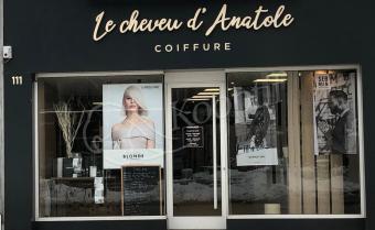 Photo du salon Les Cheveux d'Anatole